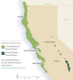 Redwood range overview