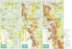 Tree mortality