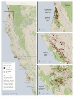 Protected Old Growth