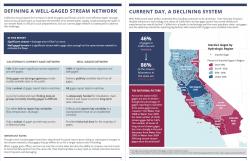 Example pages for Gage Gap report