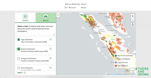 Embedded interactive map