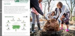 Screenshot of story map, main image people planting a tree