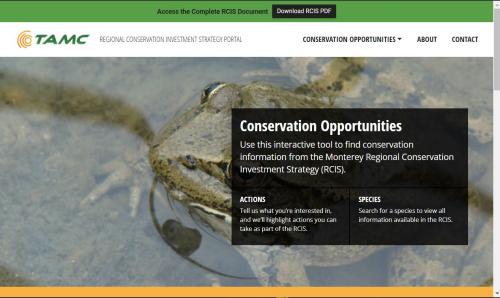 Landing page with red-legged frog