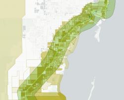 Demographic mapping, Miami Florida