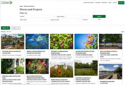 Photo Search