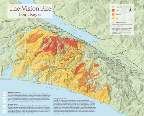 Fire Intensity Map