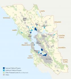 Water and Wetland Projects