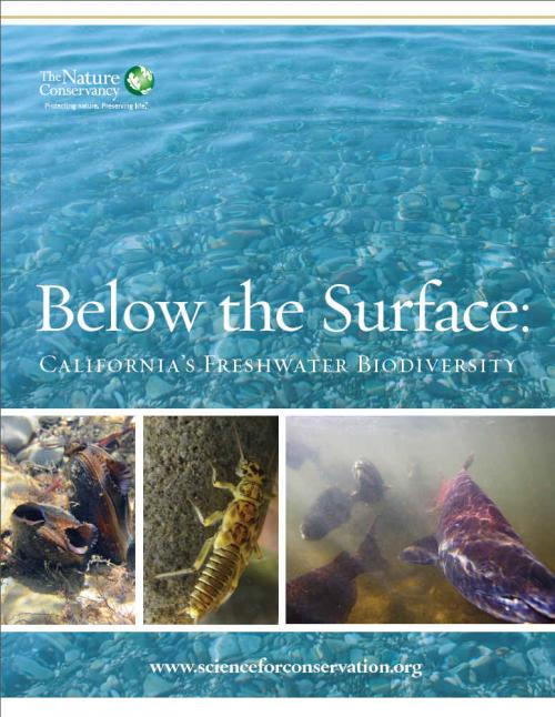 Cover for TNC Freshwater Report