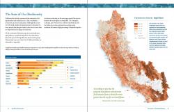 Sample Inside Page Spread from Freshwater Report 