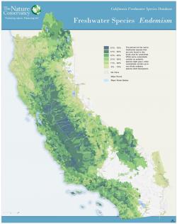 Poster of Freshwater Species Endemism in California
