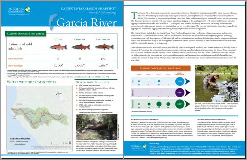 Example of Salmon Snapshot Report 