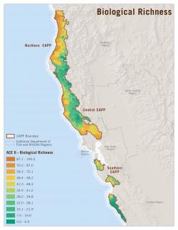 Biodiversity/Biological Richness