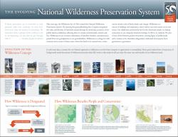 Wilderness Poster Infographic 