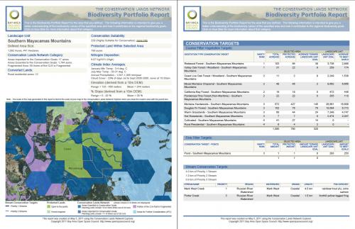 Web Data Report Layout 