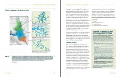 Delta Plan Inside Page and Graphics