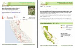 Weedmapper Report