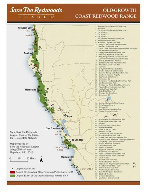 Parks and Old Growth Redwoods