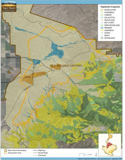 Vegetation Map of Region 