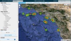 Basic Reef Check Web Map Interface