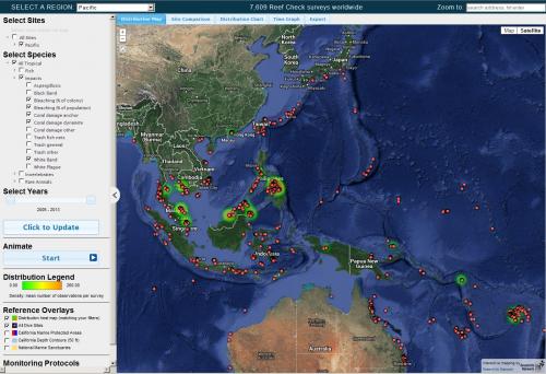 Reef Check Web Map Application