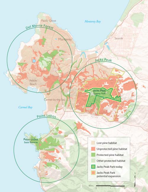 Monterey Pine Forest Main Map