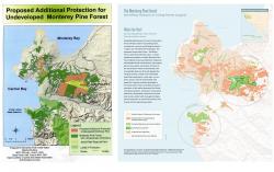 Before and After - Original map transformed into focused story 