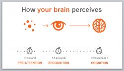 Visual Perception Slide