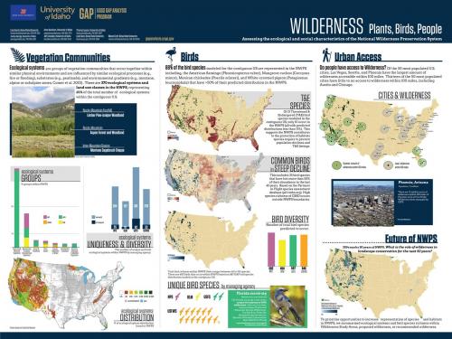 Wilderness Poster for Academic Conference