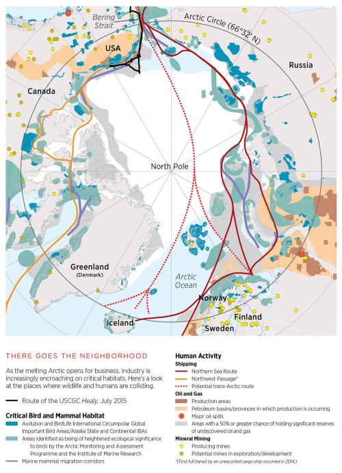 The Arctic: Habitat and Impact