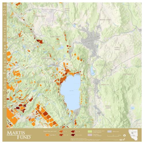 Current year tree mortality poster map