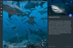 StreetView for sharks!  