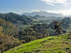 Mount Diablo from Quarry Hill 